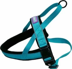 Hem & Boo Reflective Padded Harness Aqua