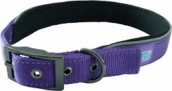 Hem & Boo Reflective Padded Collar Purple