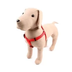 Great&Small Classic Plain Harness Red
