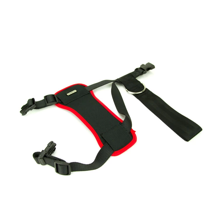 Great&Small Dog Car Harness