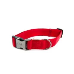 Great&Small Classic Cushion Collar Red