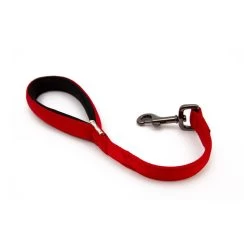 Great&Small Classic Cushion Lead Red