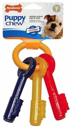 Nylabone Puppy Teething Keys