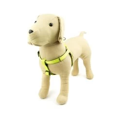 Great&Small Glow Hi-Vis Harness Yellow
