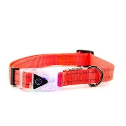 Great&Small Flashing Buckle With Reflective Collar