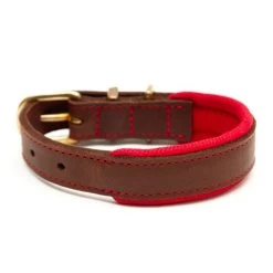 Great&Small Hawkhurst Leather Padded Dog Collar In Red