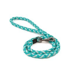 Great&Small Glow Lead Plait Turquoise