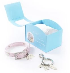 Me To You Collar & Keyring Set