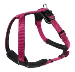 Hunter Neoprene Nylon Harness Raspberry/black