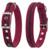 Oscar & Hooch Dog Collar Bold Red