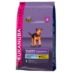 Eukanuba Dog Puppy & Junior Large Breed Chicken 12kg