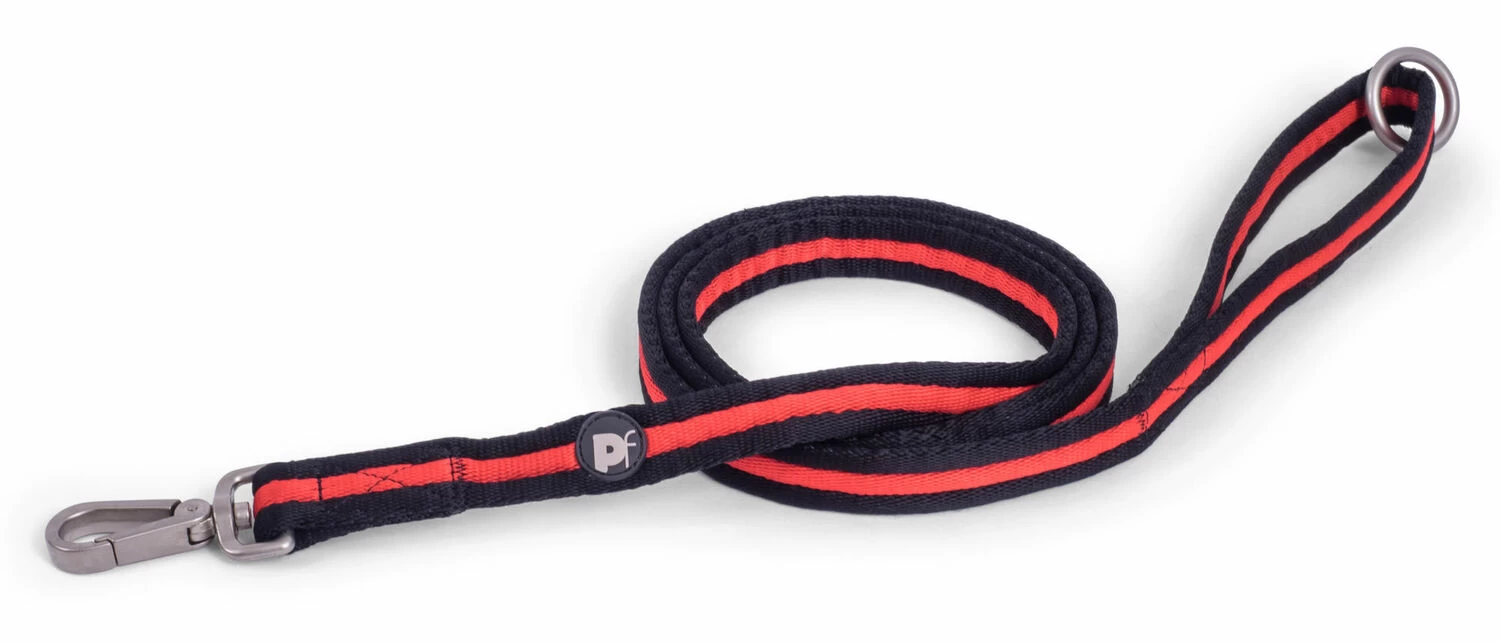 Petface Training Lead