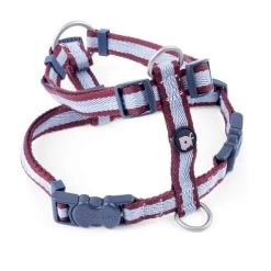 Petface Oxblood Stripe Dog Harness