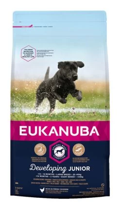 Eukanuba Developing Junior Large Breed Dog Food With Chicken