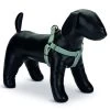 Designed By Lotte Nylon Dog Harness Virante Mint