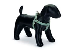 Designed By Lotte Nylon Dog Harness Virante Mint