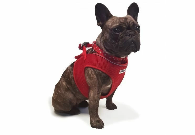 Ancol Viva Step-in Mesh Dog Harness Red - Image 3