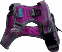 Hem & Boo Sports Harness Purple