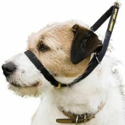 Canny Collar Dog Training Collar Black
