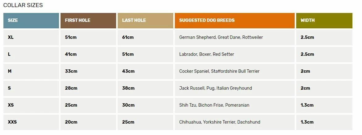 Oscar & Hooch Dog Collar Sky Blue - Image 2