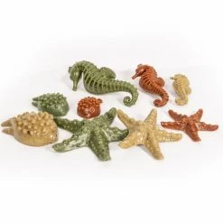 Elkwood Vegetable Sea Creatures Dog Treats With Seaweed 54 Piece Display