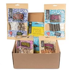 Fishy Gift Box For Dogs