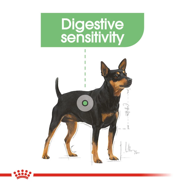 ROYAL CANIN® Mini Digestive Care Adult Dry Dog Food - Image 4