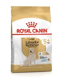 ROYAL CANIN® Labrador Retriever Adult 5+ Dry Dog Food