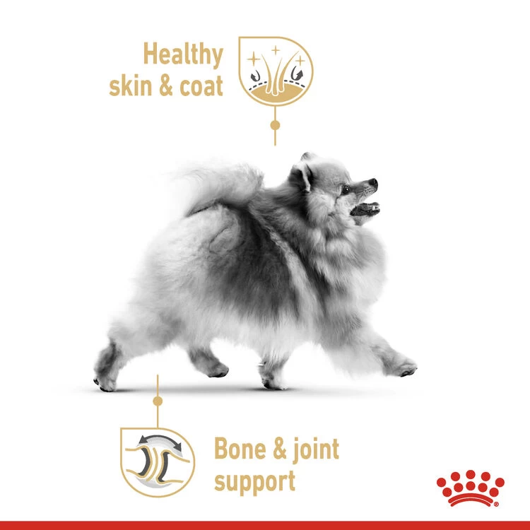 ROYAL CANINĀ® Pomeranian Adult Dry Dog Food - Image 4