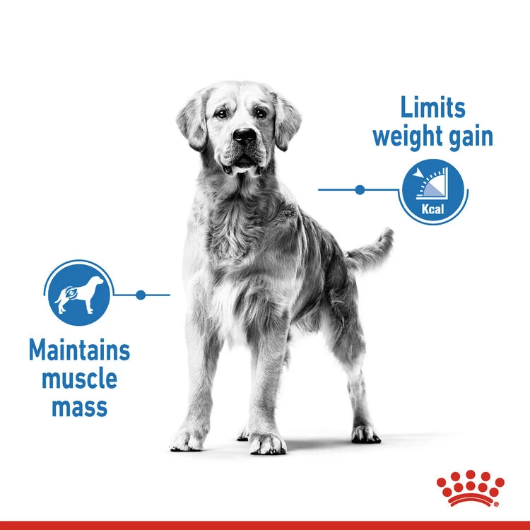ROYAL CANIN® Maxi Large Breed Light Weight Care Adult Dry Dog Food - Image 4
