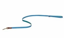 FatFace Spotty Bees Dog Lead