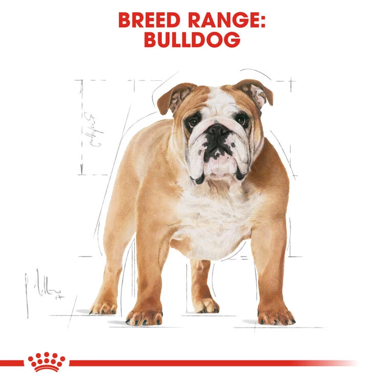 ROYAL CANINĀ® Bulldog Adult Dry Dog Food - Image 3