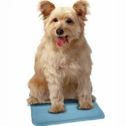 SnuggleSafe Instant Cooling Pad For Pets